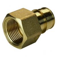 Прямой фитинг с внутренней резьбой для системы Giacomini GX 25x1”F